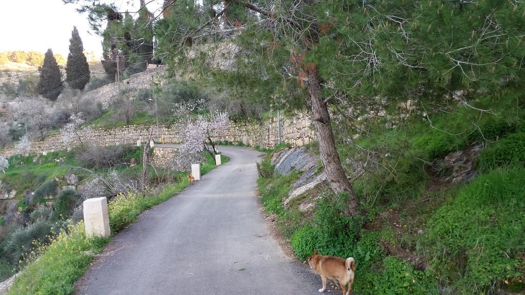 Rosary Sister Guest House Ein Karem Baitulmaqdis Luaran gambar