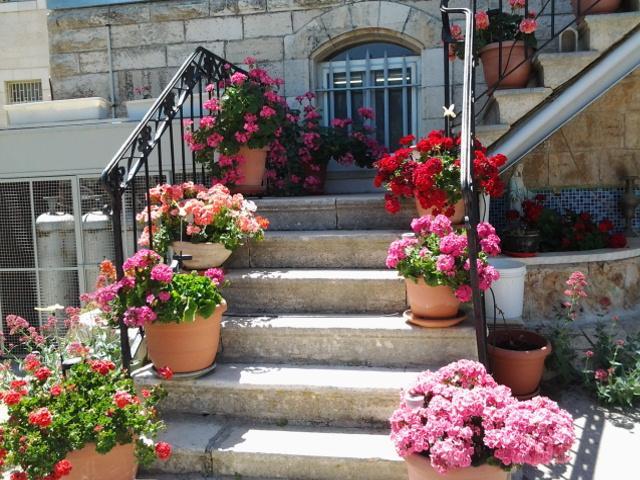 Rosary Sister Guest House Ein Karem Baitulmaqdis Luaran gambar